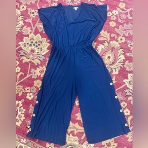 Blue Jumpsuit with Button Accents and VNeck